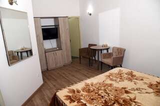 Отель Armenian Village Park Hotel Ереван Стандартный двухместный номер с 1 кроватью-5